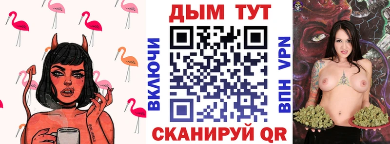 Продажа наркотиков Каменногорск Alpha PVP  Меф мяу мяу  Кокаин 