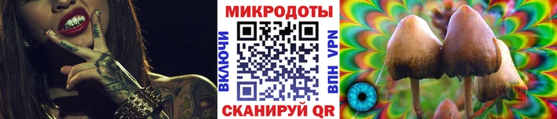 Псилоцибиновые грибы Magic Shrooms  Каменногорск 